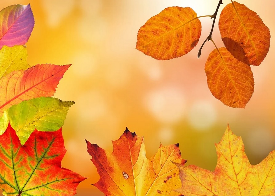 Herbstferien 2021